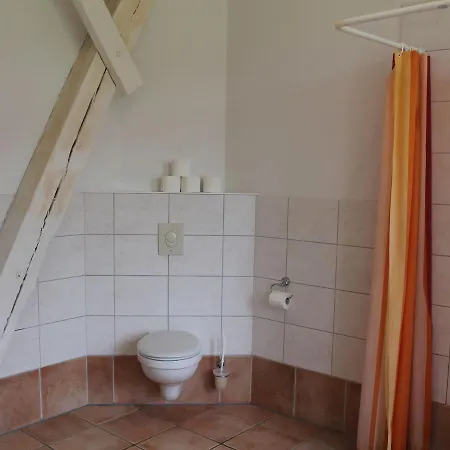 Large Aaprtment In Germany With Garden *